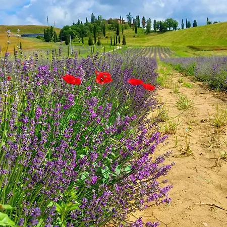 Tenuta D'arbia, Siena *