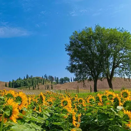 Tenuta D'arbia, Siena Farm stay