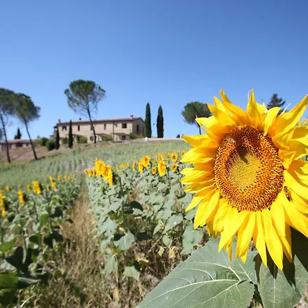 Tenuta D'arbia, Siena